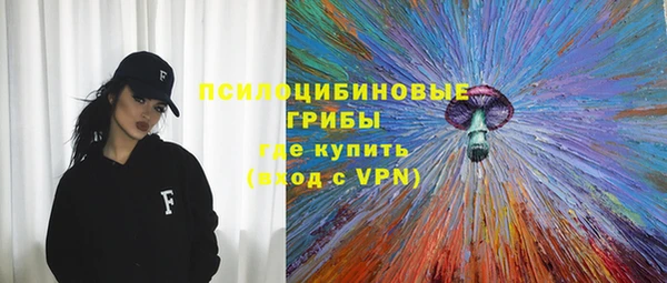 mdpv Костерёво