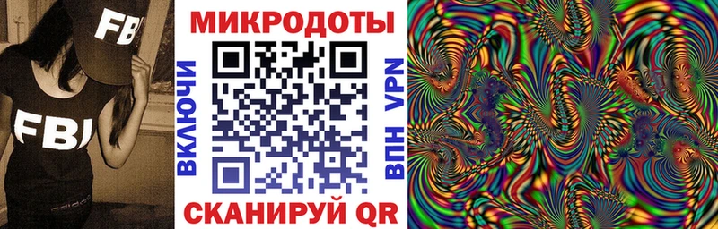 Купить Курчалой Псилоцибиновые грибы Psilocybine cubensis